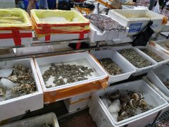 水产区-渔人湾码头海鲜市场负二楼