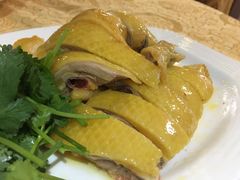 -瑞记湛江鸡饭店·粤西第一鸡(粤垦店)