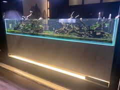 -玥汐·3D影院式足道SPA(万泰城店)