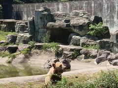 -宁波野生动物园