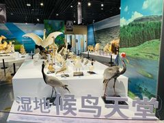 -中国湿地博物馆