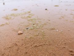 -青岛海泉湾•海洋之星摩天轮
