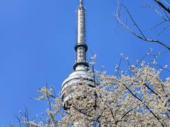 -龟山风景区-龟山电视塔