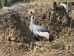 -昆明动物园
