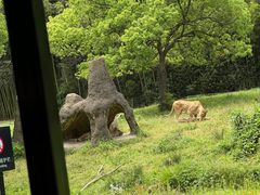-杭州野生动物世界