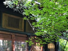 -鱼桥巷·美学川菜