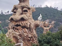 -珠海长隆海洋王国