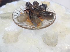 -明本海鲜大排档·鱼生海鲜烧烤宵夜(陈家祠店)