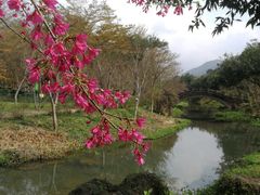 -田野绿世界
