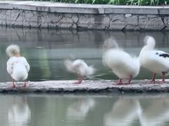 -西安市长乐公园