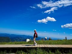 -白草畔自然风景区