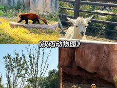 -武汉动物园
