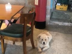 -石头会唱歌融来+北港岚台两岸交流中心