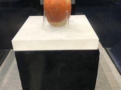 -浙江省博物馆(孤山馆区)