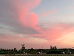 -白洋淀景区