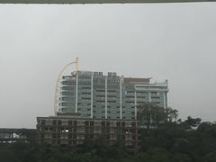 -金盆阿嬷香菇茶叶蛋(玄光店)