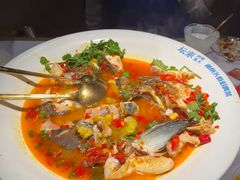 -坛宗剁椒鱼头(河西王府井店)