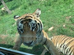 -西安秦岭野生动物园