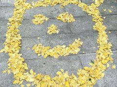 -百林公园-两江幸福广场
