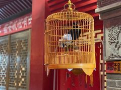 -清真·京华源铜锅涮肉(丰庆店)