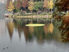 -重庆彩云湖湿地公园