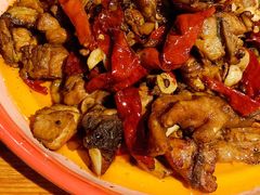 -柴窝堡22号辣子鸡·传承新疆菜