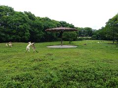 -宁波野生动物园