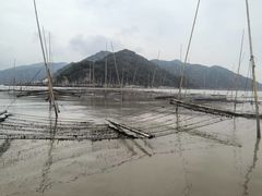 -北岐滩涂