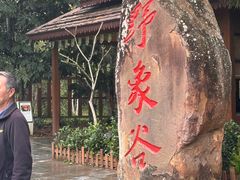 -野象谷景区