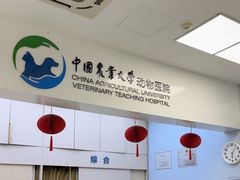 -中国农业大学动物医院