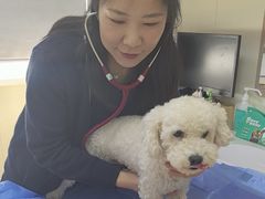 -美联众合动物医院·24h京西诊疗中心