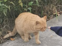 -成都中医药大学(温江校区)