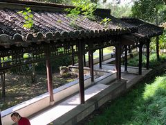 -盆景园(扬州大运河文化旅游度假区)