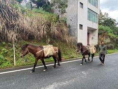 -新安江山水画廊风景区
