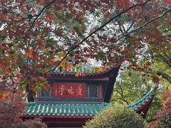 -岳麓山风景名胜区