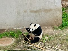 -沈阳森林动物园