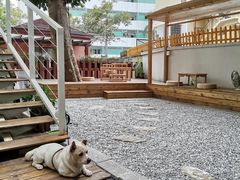 -椿风·养身茶饮(吉大店)