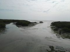 -北海金海湾红树林生态旅游区