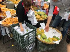 -红星农博物流中心