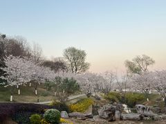 -羊山湖公园
