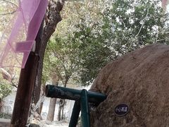 -观唐（国际）度假村温泉