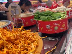 -龍歌自助小火锅(李沧丽达店)