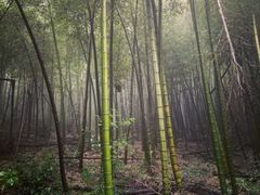 -会稽山峡洞漂流-上青古道