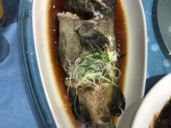 清蒸老虎斑-Yan Ting 宴庭中餐厅(上海静安瑞吉酒店)