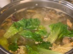-百利鸽王(紫薇路店)