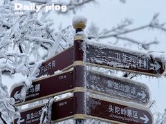-紫金山山顶公园