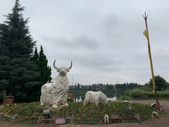 -云南民族村