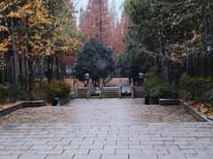 -宝岩生态观光园