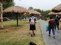 -武汉紫薇都市田园