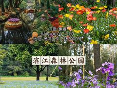 -顾村公园